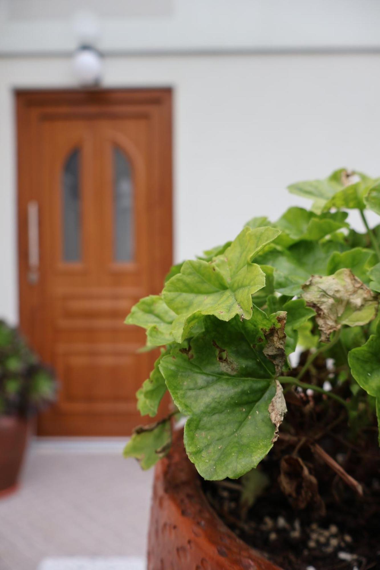 Casa Das Chaes Caniçada Buitenkant foto